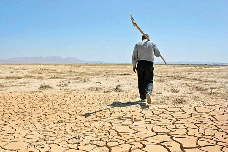 یک واقعه وحشتناک در شمال کشور | دیگر جنگل نخواهیم داشت_6488a254990c4.jpeg
