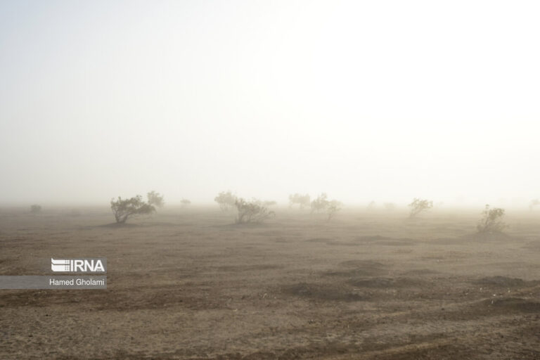 افزایش سرعت بادهای ۱۲۰ روزه در شمال سیستان و بلوچستان_668552c896693.jpeg