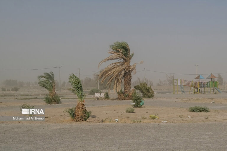 تندباد ۱۱۵ کیلومتری زابل را در نوردید_6682af8587672.jpeg