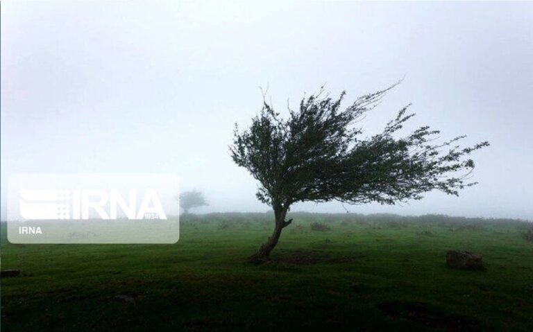 وزش باد شدید آسمان ایلام را فرا می‌گیرد_67111355dfa70.jpeg