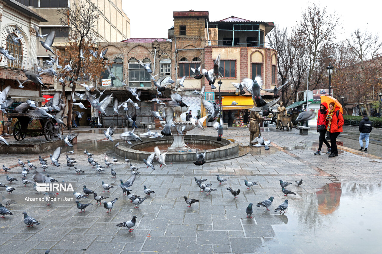 تهران تا شنبه ۶ درجه سردتر میشود_674613d9723c5.jpeg