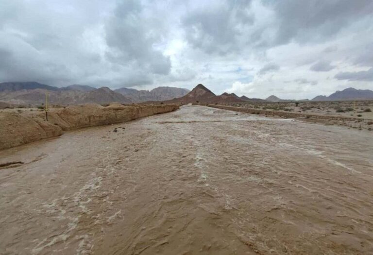 افزایش ۱۰۹ درصدی میانگین بارندگی‌ها در خراسان جنوبی_678e09df2dfcd.jpeg