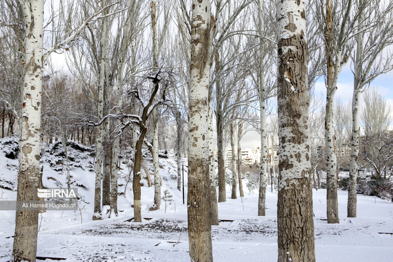 سوز سرمای زمستانی تا پایان هفته در آذربایجانغربی تداوم دارد_679744d6b23de.jpeg