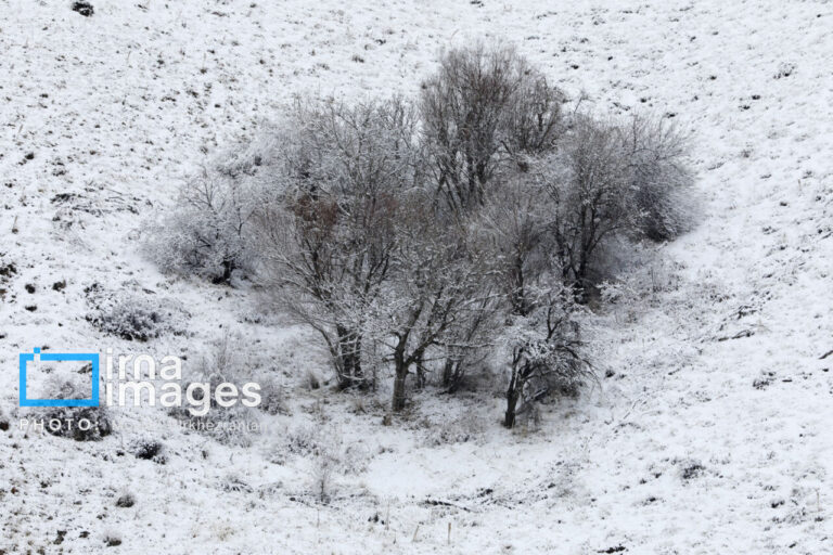 کمبود بارندگی زمستانی در آذربایجان‌غربی؛ چشم انتظار بهبود بارش در هفته آخر دی_67837db4cb0c8.jpeg