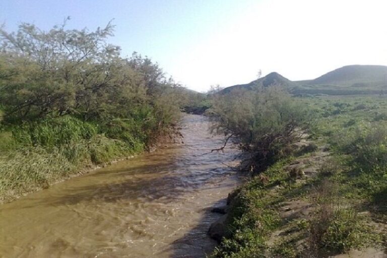 ۵۴۰ میلیارد ریال برای مطالعات رودخانه‌‎های خراسان جنوبی هزینه شد_6799da4a7b38f.jpeg
