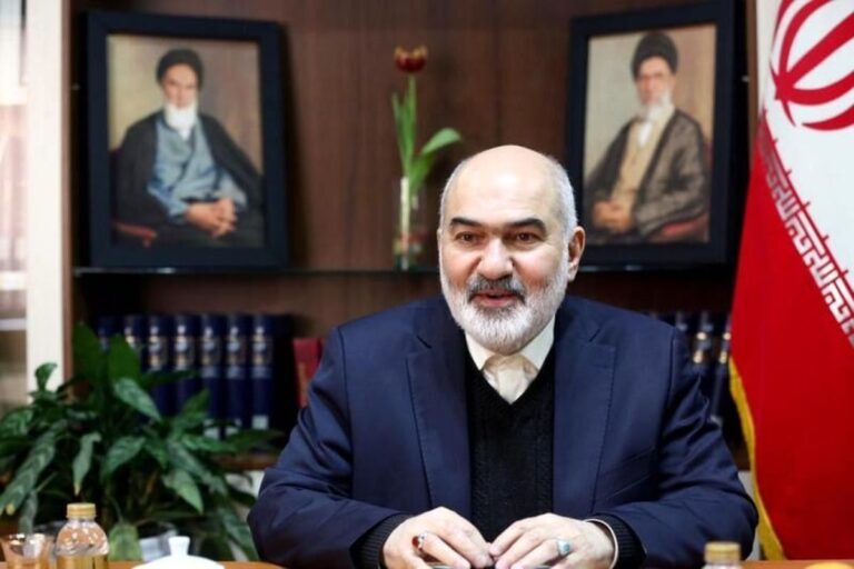 هماهنگی برای تامین کمک‌های ملی به منطقه زلزله زده حسینیه انجام شد_67b274eea1804.jpeg
