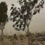 هواشناسی اردبیل: وزش باد شدید تا یکشنبه در استان ادامه می یابد_680b482067cbb.jpeg