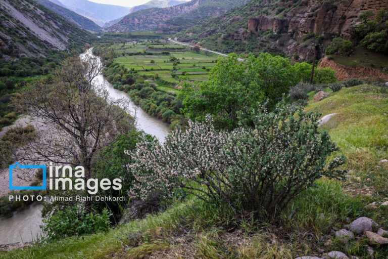 افزایش نسبی دما برای چهارمحال و بختیاری پیش‌بینی شد_681d067e41dec.jpeg
