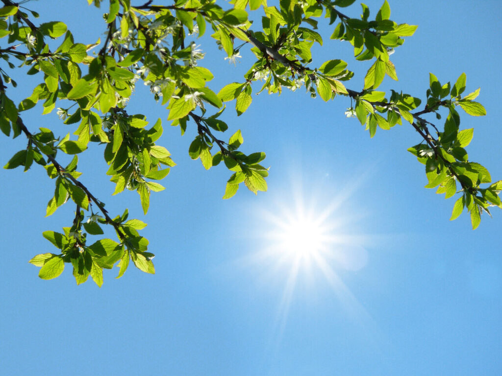 همدان گرم‌تر می‌شود_6828492dadafd.jpeg