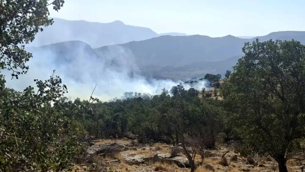 آتش‌سوزی در کوه سیاه لنده کهکیلویه و بویر احمد ادامه دارد_68c458bf6da54.webp