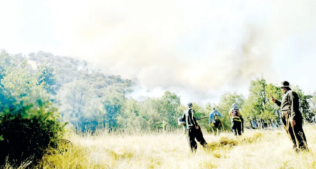 پشت‌پرده آتش‌سوزی‌های عمدی_68ba7b053129e.webp