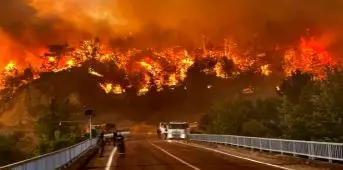 آتش سوزی جنگل‌های «گناوه» گچساران به دنبال تیراندازی تفریحی_68fd09013bca5.webp