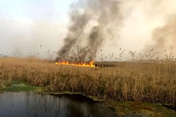 تداوم آتش سوزی هورالعظیم پس از هفت ماه/ وضعیت خودسوزی هورالعظیم تغییر نکرده است_68f51fe97f05a.webp