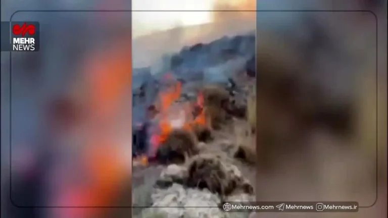 شعله‌های آتش در دامنه‌های دماوند زبانه کشید + ویدئو_68e69f7b19826.webp