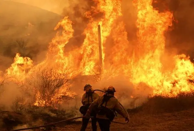 آتش به جان جنگل های دیزمار افتاد_691766dfabb83.webp