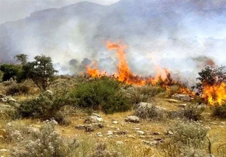 آتش‌سوزی گسترده در جنگل‌های مرزن‌آباد/ اعزام ۳ بالگرد برای مهار آتش‌‌_691a0a6b174de.webp
