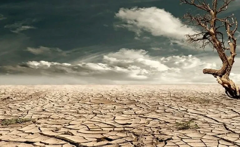 از بحران تا تاب‌آوری؛ دیگر کشورها چطور با کمبود آب مقابله کرده‌اند؟_6916bc4910613.webp