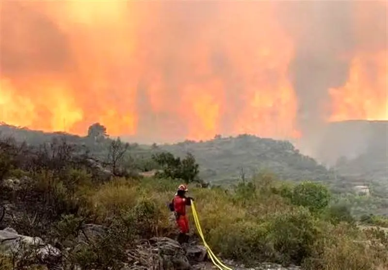 دادگستری مازندران: مقصران آتش سوزی الیت شناسایی شوند_69214cde70839.webp