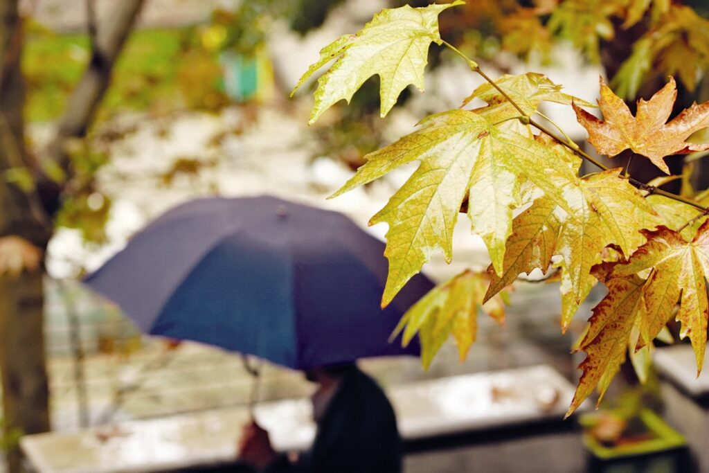 سامانه بارشی از این روز وارد کشور می شود + جزئیات_69157103c744c.jpeg