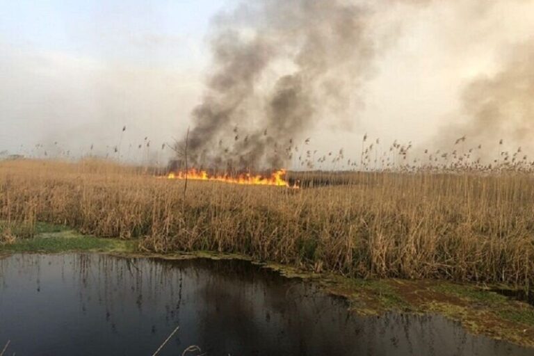 مخالفت شدید وزارت نیرو  برای رها سازی آب به سمت هورالعظیم | تالاب در آتش، مردم در دود_6913771f1b897.jpeg