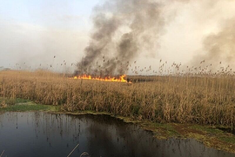 مخالفت شدید وزارت نیرو  برای رها سازی آب به سمت هورالعظیم | تالاب در آتش، مردم در دود_6913771f1b897.jpeg