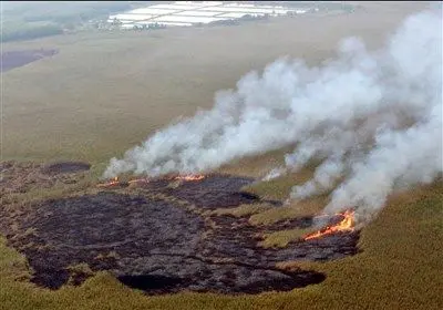 مهار آتش‌سوزی سایت زباله‌ جوانرود؛ دودگرفتگی مدارس نوبت بعدازظهر را تعطیل کرد_6914c3ebb4c71.webp