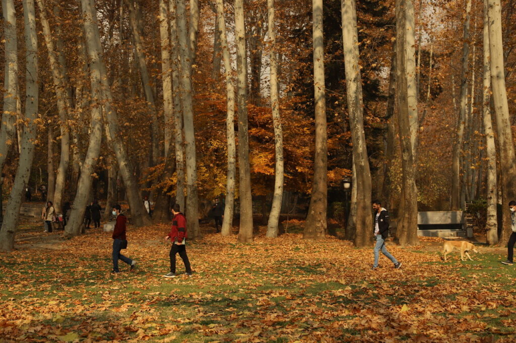 هشدار نارنجی آلودگی هوا برای ۶ شهر | دمای میانگین کشور ۲.۳ درجه گرم تر شده‌است_691ffcf9aff37.jpeg