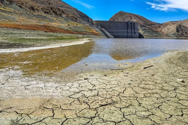 هشدار نسبت به کاهش ۱۰۰ درصدی بارندگی در کرمان_69117c9dd7b1e.webp