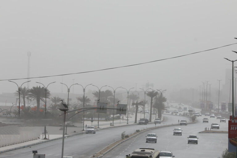 گرد و خاک روی نوار جنوبی ایران | بندرعباس، زابل و اهواز آلوده ترین شهرهای ایران_690b8dd478992.jpeg