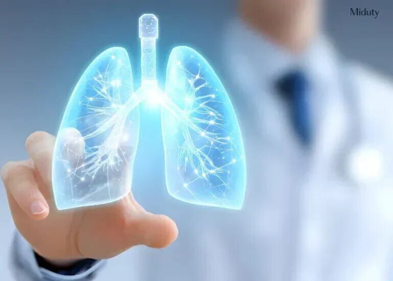 ۴ خوراکی ویژه برای روزهای آلوده_69122538d03ed.jpeg