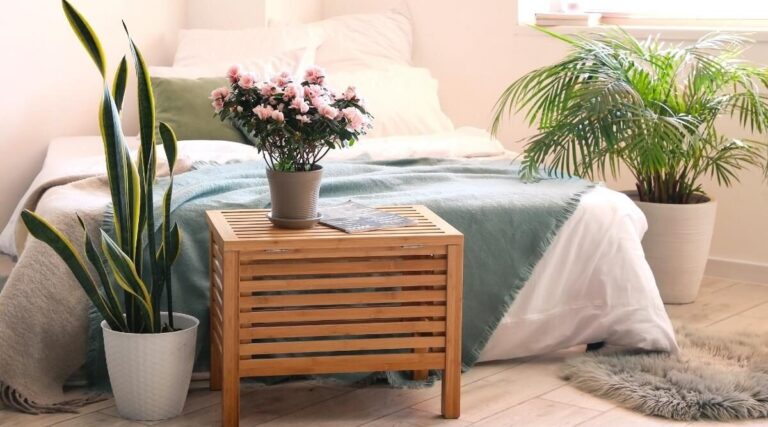 ۵ گیاه آپارتمانی اکسیژن ساز با روش نگهداری آسان_692bdb14754f2.jpeg