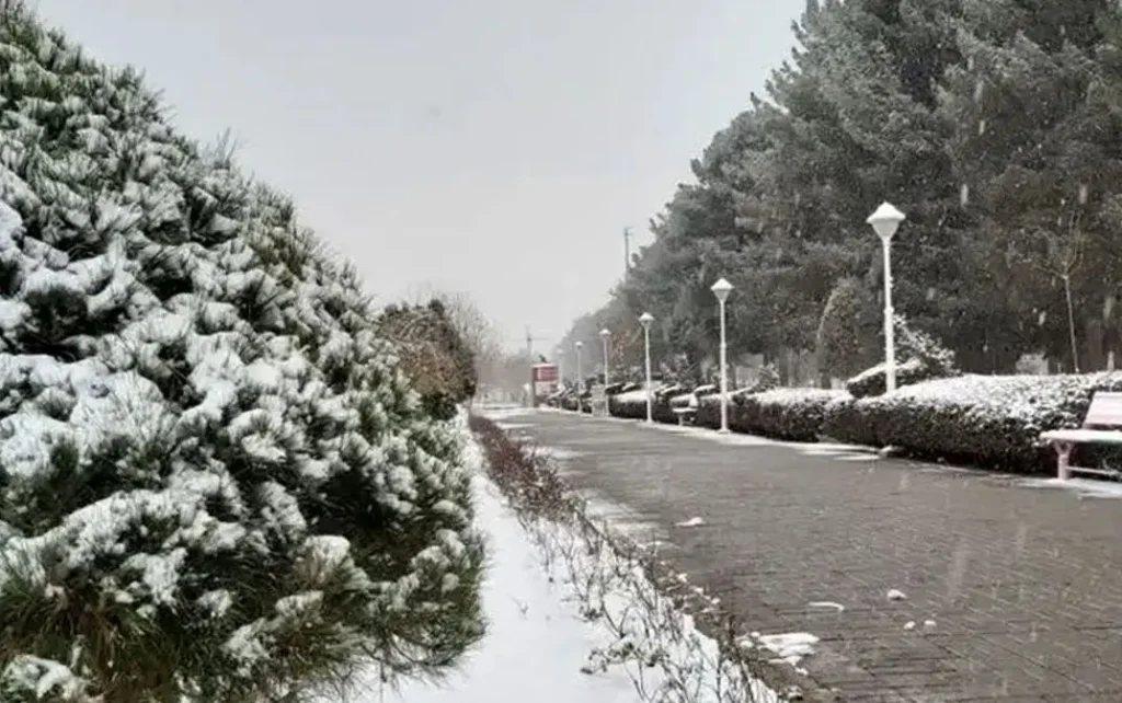 بارش برف در همدان_693ac5ec96991.webp