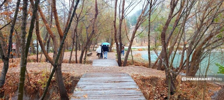 دمای منفی ۲۱ در این منطقه | بارش پراکنده در ۸ استان غربی_6948dbcb2325c.jpeg