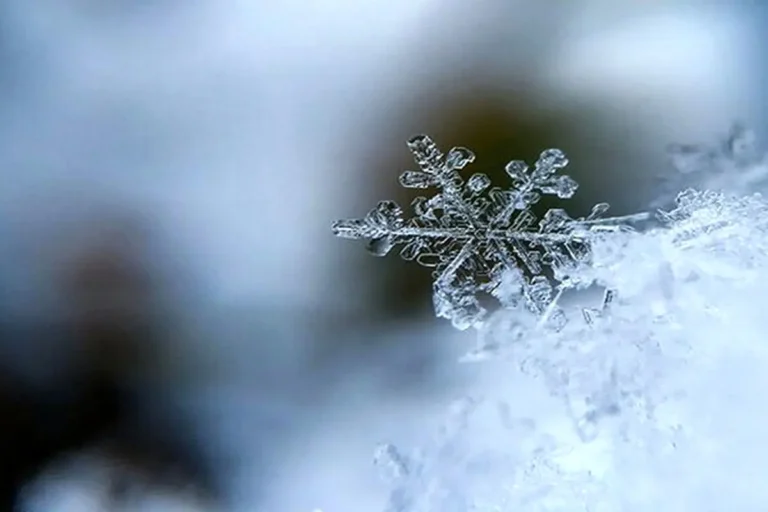 ماندگاری هوای سرد در تهران تا اواسط هفته آینده_6944005a56e15.webp