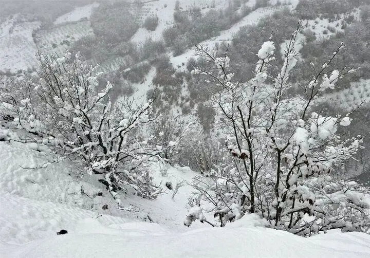 پیش بینی هوای لرستان؛ شنبه ۶ دی ۱۴۰۴/ رگبار در راه است_694efd6388b88.webp