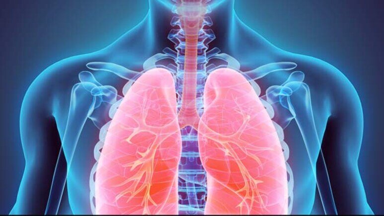 چه کسانی بیشتر در برابر آلودگی هوا آسیب‌پذیرتر هستند؟_692f26ffa56d1.jpeg