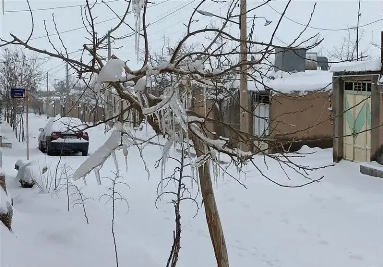 پبش بینی هوای اصفهان فردا شنبه ۴ بهمن / فعالیت موج ناپایدار جوی تا دوشنبه هفته_6973878bf103c.webp