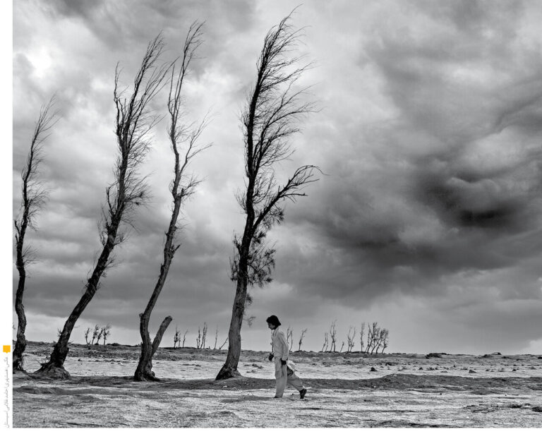 بودجه محیط‌زیست بازهم آب رفت |  تورم و انباشت بحران‌ ها بودجه را می‌ بلعد_699c93b7363ba.jpeg