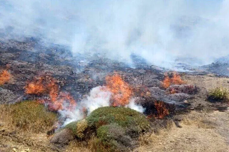 عامل آتش‌سوزی تالاب انزلی دستگیر شد_699899dabc3ab.webp