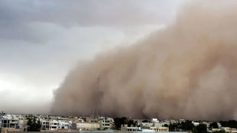 هواشناسی هشدار داد/ طوفان ۹ استان را درمی‌نوردد_69970eefd8c71.webp