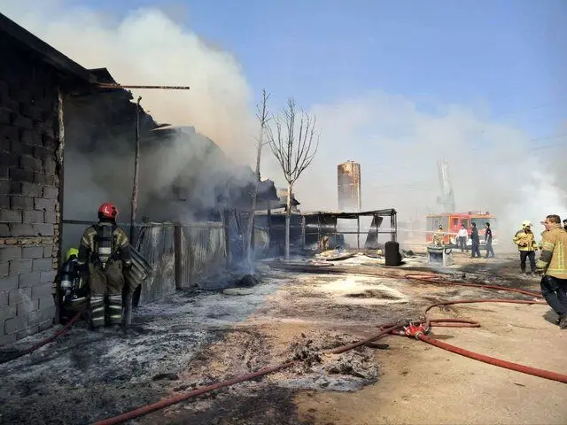 وقوع آتش‌سوزی گسترده یک گاراژ چوب‌بری در بزرگراه آزادگان تهران_699c8fc4cdb51.webp