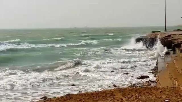 پیش بینی هوای بوشهر فردا شنبه ۲ اسفند/ تداوم بادهای شمالی و آرامش نسبی هوا_699861158f629.webp