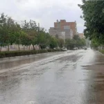 پیش بینی هوای خراسان جنوبی فردا شنبه ۲۵ بهمن / نفوذ سامانه جدید بارشی از فردا_698f9658a0022.webp