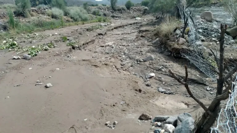 هشدار سیلاب در این ۷ استان صادر شد / وزش باد شدید در۶ استان دیگر پیش بینی شد_69df6261bc6e8.webp