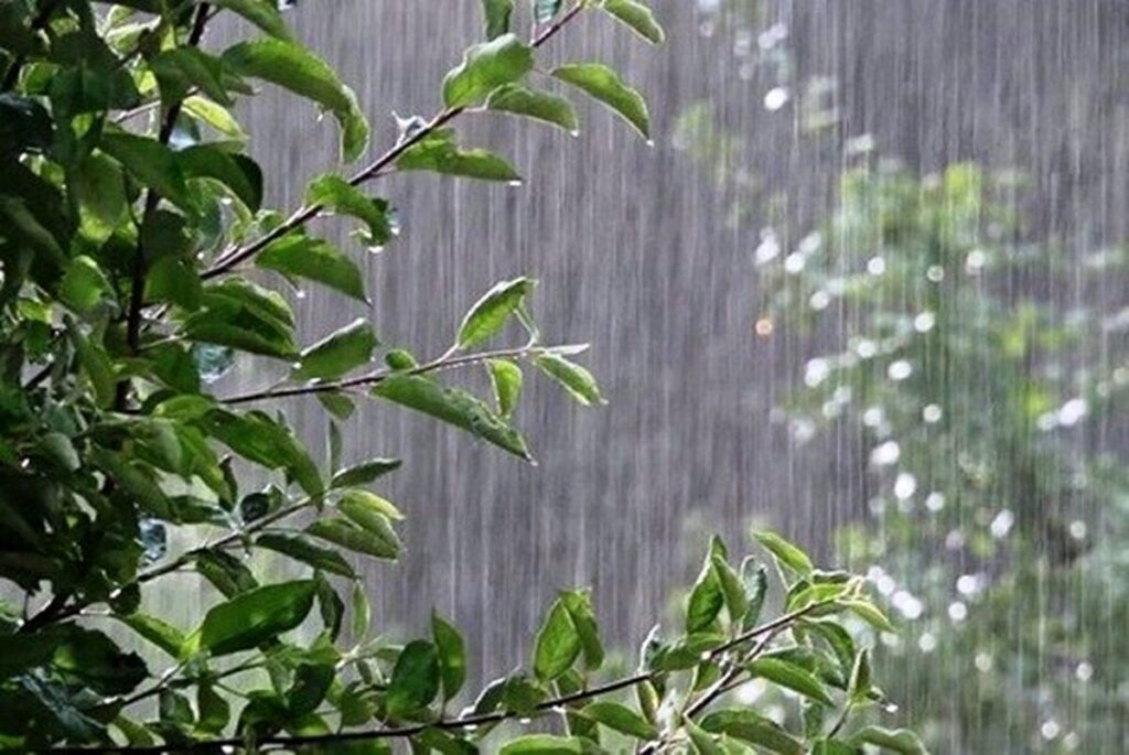 پیش بینی هوای زنجان فردا دوشنبه ۲۱ اردیبهشت/ بارش باران همراه با رعد وبرق_6a00874d8c914.jpeg