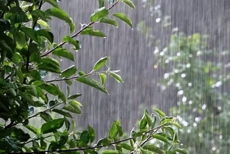 پیش بینی هوای قزوین؛ پنجشنبه ۳۱ اردیبهشت ۱۴۰۵/ تداوم ناپایداری هوا_6a0e9836a45e5.webp