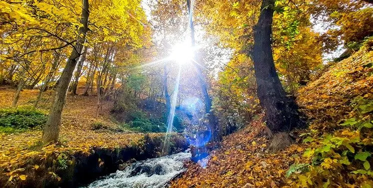 پیش بینی هوای مازندران فردا یکشنبه 31 خرداد/  افزایش تدریجی دمای هوا طی امروز و فردا_6a369b45b98f7.webp