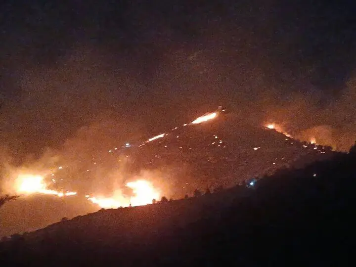 آتش سوزی در پارک ملی بمو شیراز_6a72ca2f5165a.webp